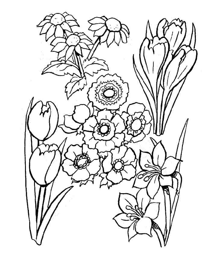 Disegno da colorare: fiori (Natura) #155035 - Pagine da Colorare Stampabili Gratuite