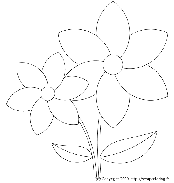 Disegno da colorare: fiori (Natura) #155040 - Pagine da Colorare Stampabili Gratuite
