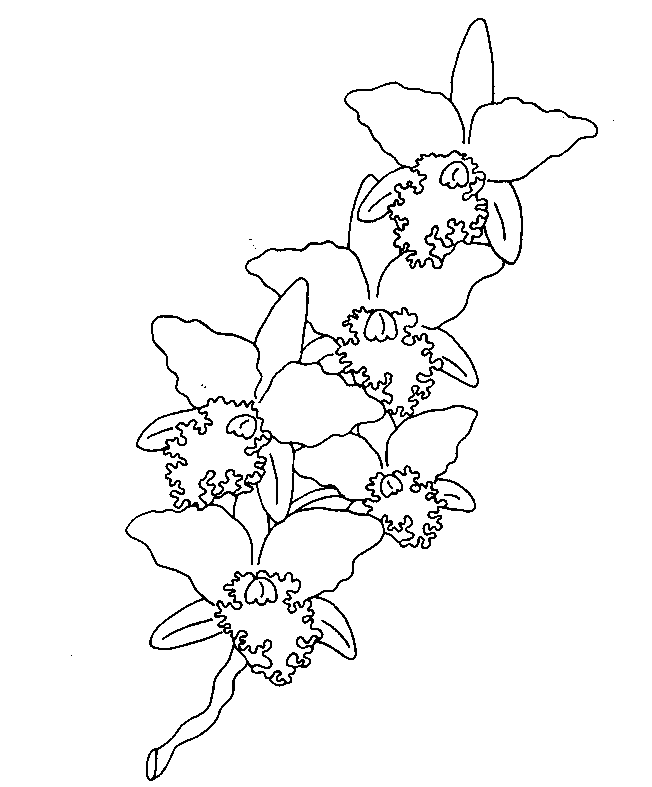 Disegno da colorare: fiori (Natura) #155073 - Pagine da Colorare Stampabili Gratuite