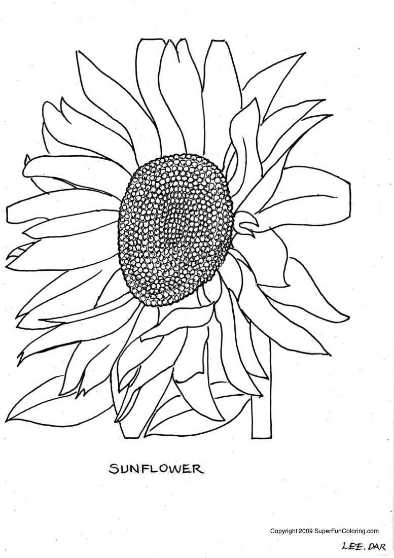 Disegno da colorare: fiori (Natura) #155121 - Pagine da Colorare Stampabili Gratuite