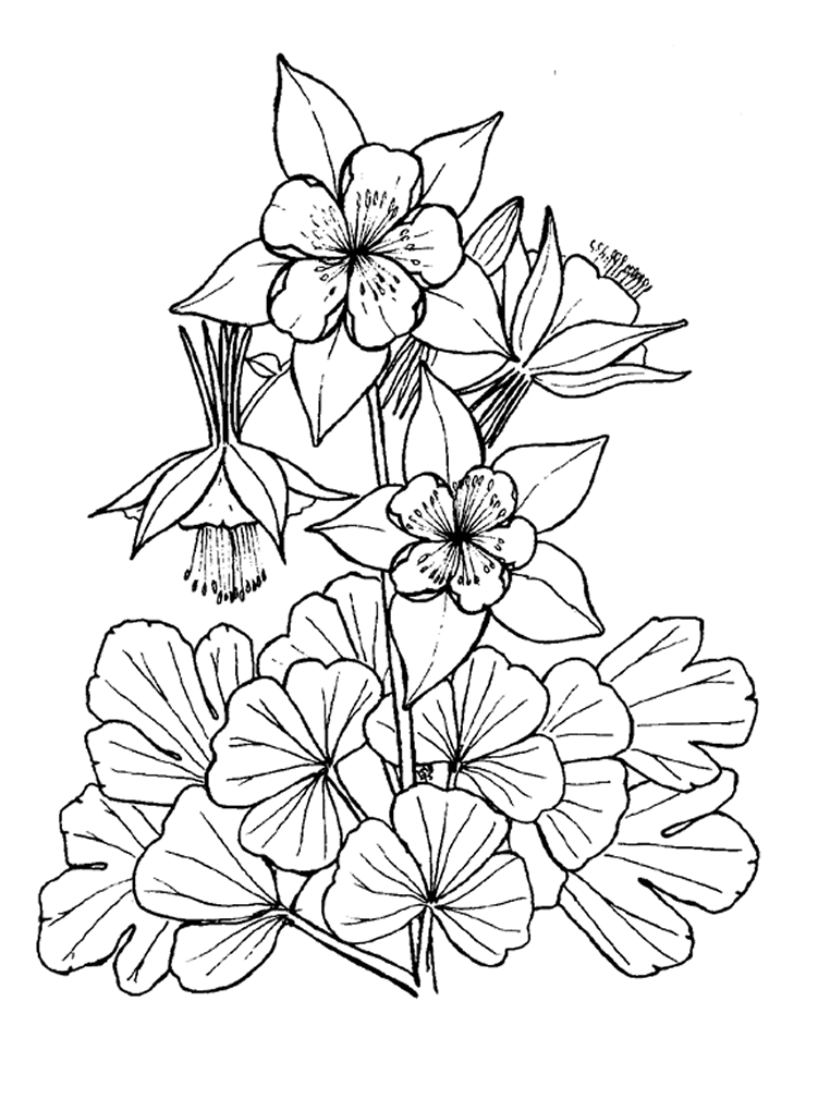 Disegno da colorare: fiori (Natura) #155144 - Pagine da Colorare Stampabili Gratuite