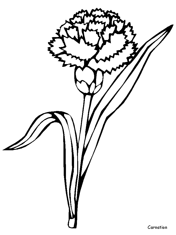 Disegno da colorare: fiori (Natura) #155180 - Pagine da Colorare Stampabili Gratuite