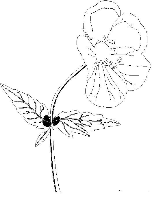 Disegno da colorare: fiori (Natura) #155182 - Pagine da Colorare Stampabili Gratuite