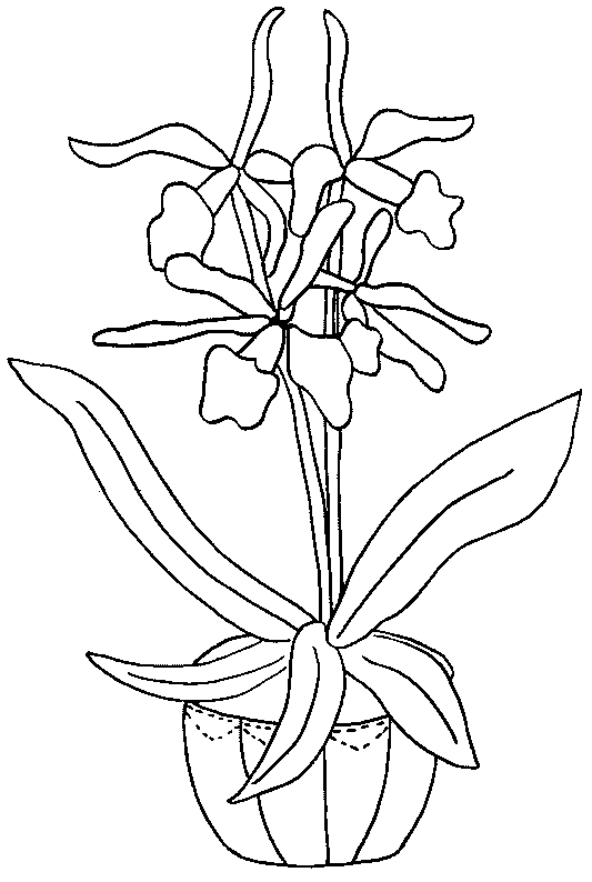 Disegno da colorare: fiori (Natura) #155185 - Pagine da Colorare Stampabili Gratuite