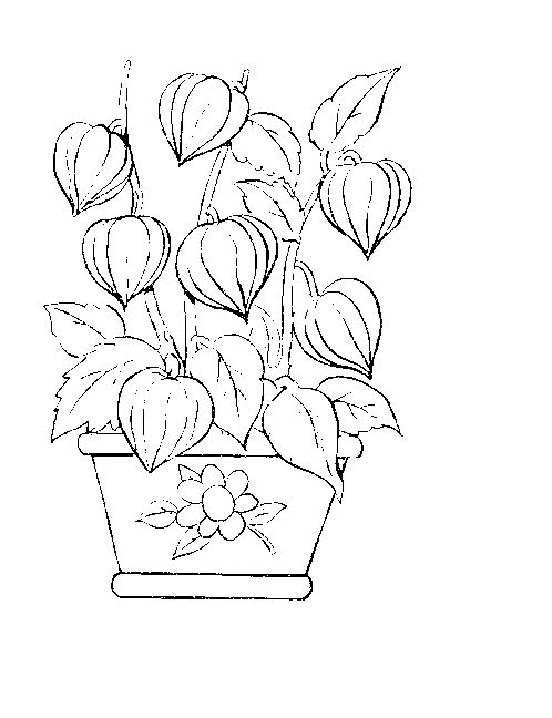 Disegno da colorare: fiori (Natura) #155208 - Pagine da Colorare Stampabili Gratuite