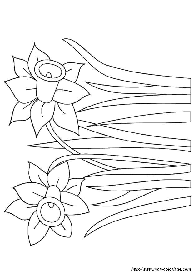 Disegno da colorare: fiori (Natura) #155217 - Pagine da Colorare Stampabili Gratuite