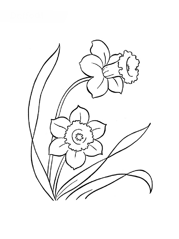 Disegno da colorare: fiori (Natura) #155250 - Pagine da Colorare Stampabili Gratuite