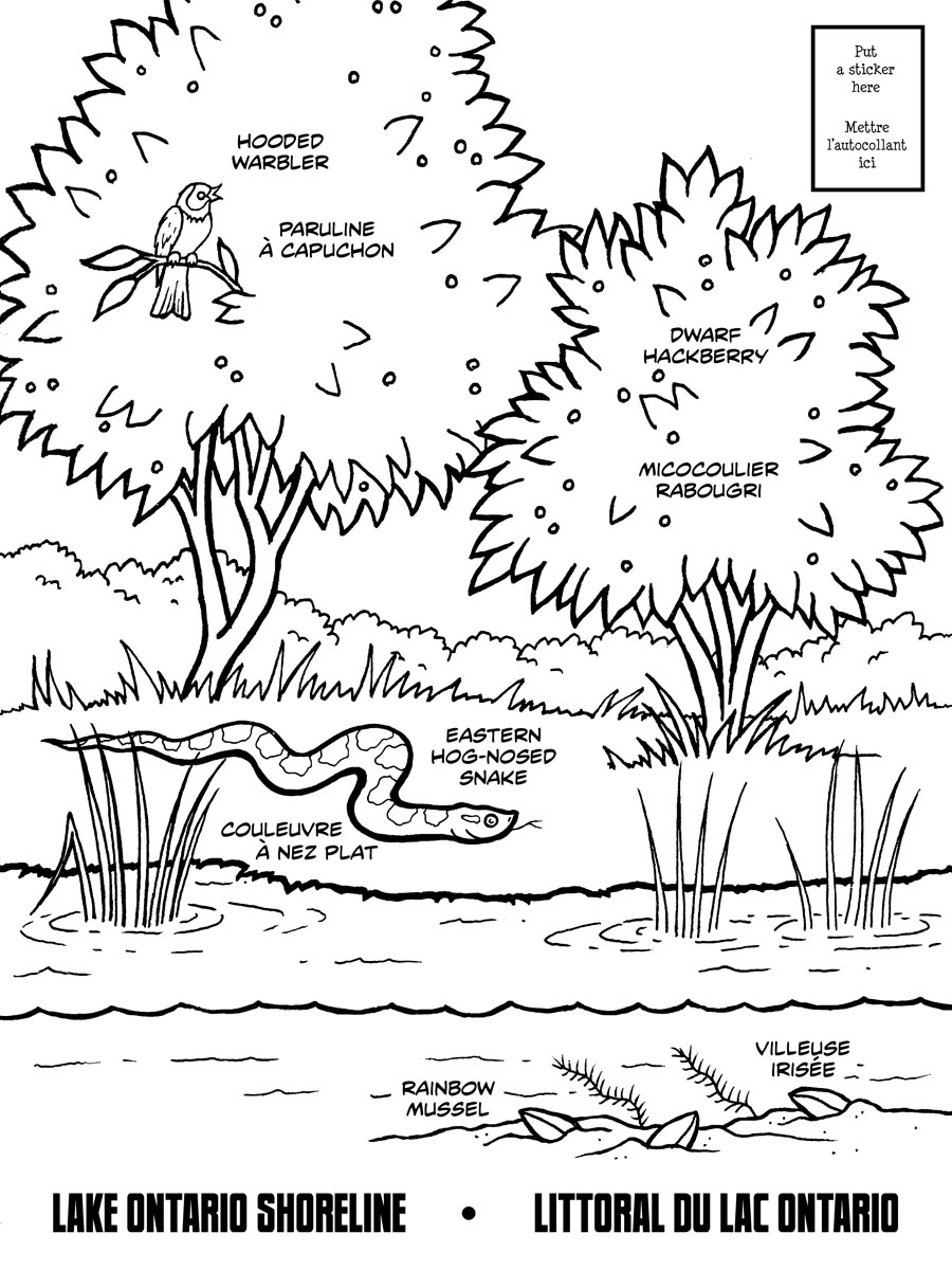 Disegno da colorare: Lago (Natura) #166147 - Pagine da Colorare Stampabili Gratuite