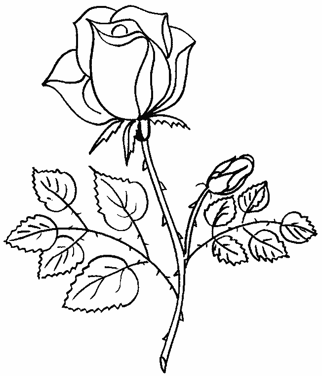 Disegno da colorare: Mazzo di fiori (Natura) #160736 - Pagine da Colorare Stampabili Gratuite