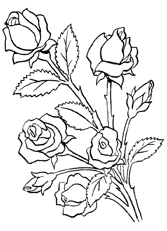 Disegno da colorare: Mazzo di fiori (Natura) #160740 - Pagine da Colorare Stampabili Gratuite