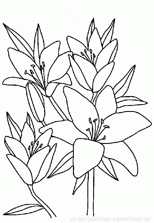 Disegno da colorare: Mazzo di fiori (Natura) #160788 - Pagine da Colorare Stampabili Gratuite