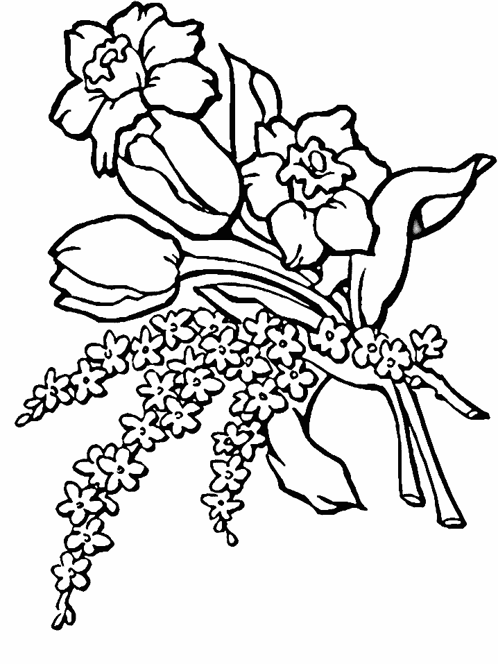 Disegno da colorare: Mazzo di fiori (Natura) #160790 - Pagine da Colorare Stampabili Gratuite