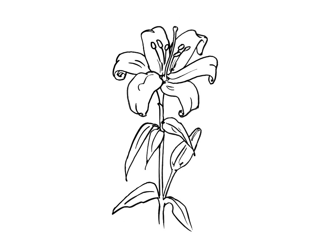 Disegno da colorare: Mazzo di fiori (Natura) #160844 - Pagine da Colorare Stampabili Gratuite