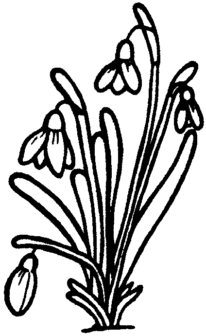 Disegno da colorare: Mazzo di fiori (Natura) #160845 - Pagine da Colorare Stampabili Gratuite