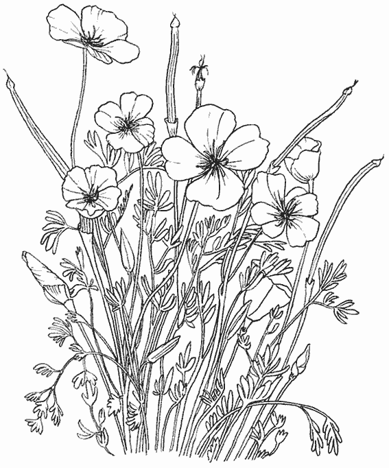 Disegno da colorare: Mazzo di fiori (Natura) #160928 - Pagine da Colorare Stampabili Gratuite