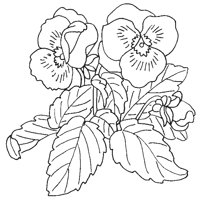 Disegno da colorare: Mazzo di fiori (Natura) #160960 - Pagine da Colorare Stampabili Gratuite