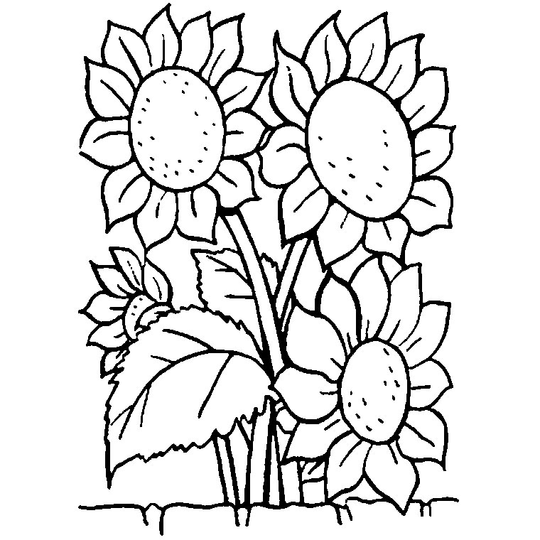 Disegno da colorare: Mazzo di fiori (Natura) #160964 - Pagine da Colorare Stampabili Gratuite