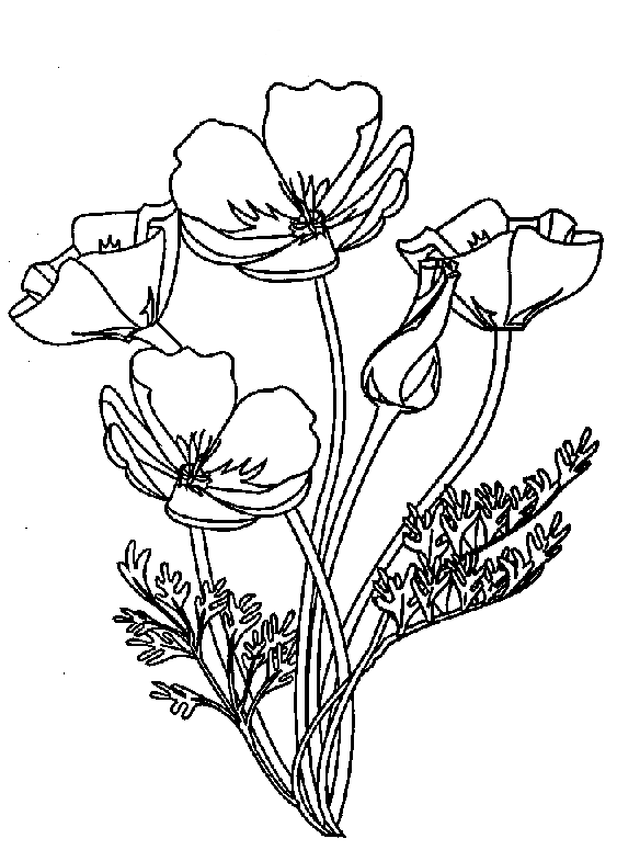 Disegno da colorare: Mazzo di fiori (Natura) #161045 - Pagine da Colorare Stampabili Gratuite