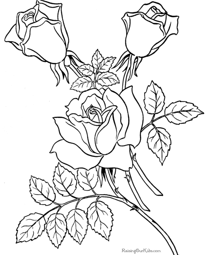 Disegno da colorare: Mazzo di fiori (Natura) #161085 - Pagine da Colorare Stampabili Gratuite