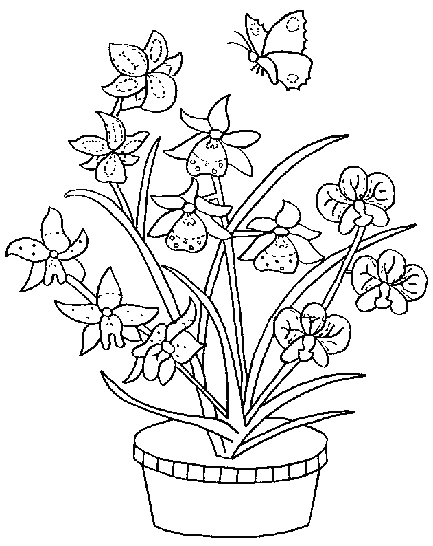 Disegno da colorare: Mazzo di fiori (Natura) #161091 - Pagine da Colorare Stampabili Gratuite