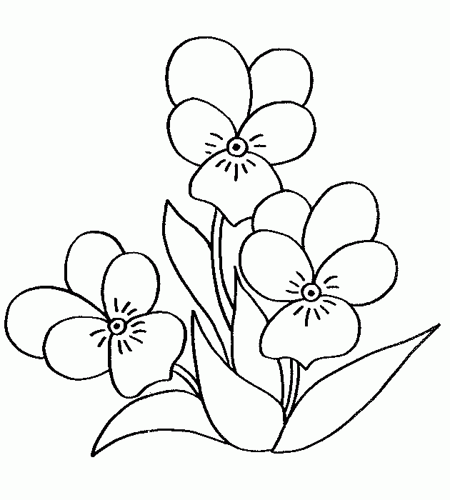 Disegno da colorare: Mazzo di fiori (Natura) #161093 - Pagine da Colorare Stampabili Gratuite