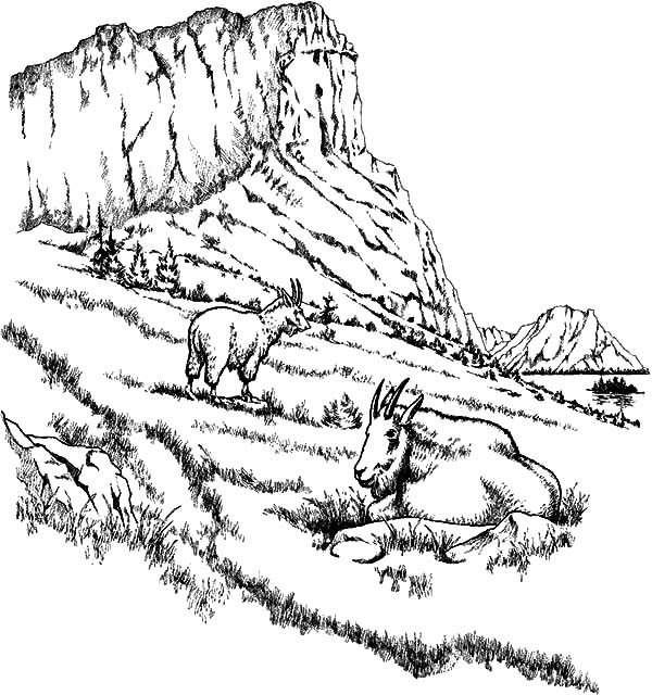 Disegno da colorare: Montagna (Natura) #156739 - Pagine da Colorare Stampabili Gratuite
