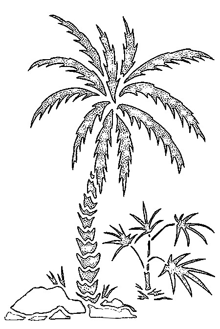 Disegno da colorare: Palma (Natura) #161123 - Pagine da Colorare Stampabili Gratuite
