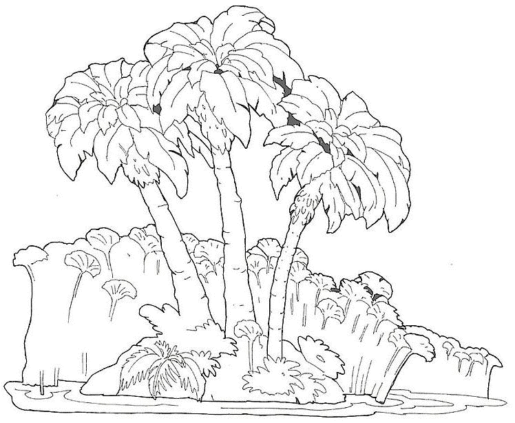Disegno da colorare: Palma (Natura) #161126 - Pagine da Colorare Stampabili Gratuite