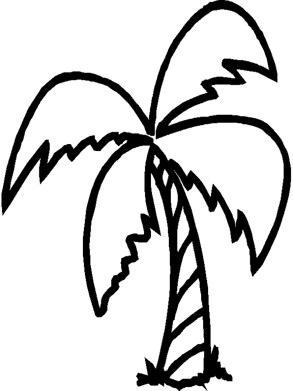 Disegno da colorare: Palma (Natura) #161128 - Pagine da Colorare Stampabili Gratuite