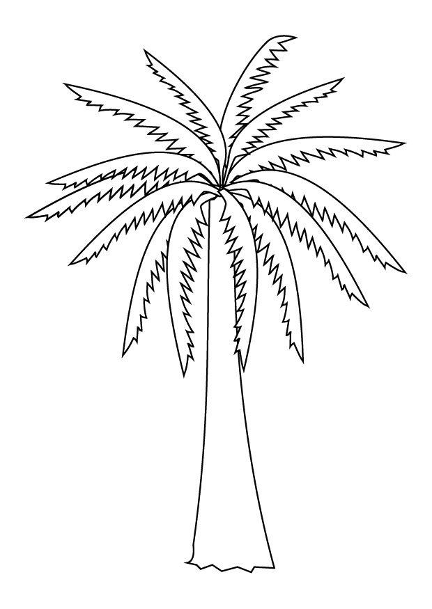 Disegno da colorare: Palma (Natura) #161137 - Pagine da Colorare Stampabili Gratuite