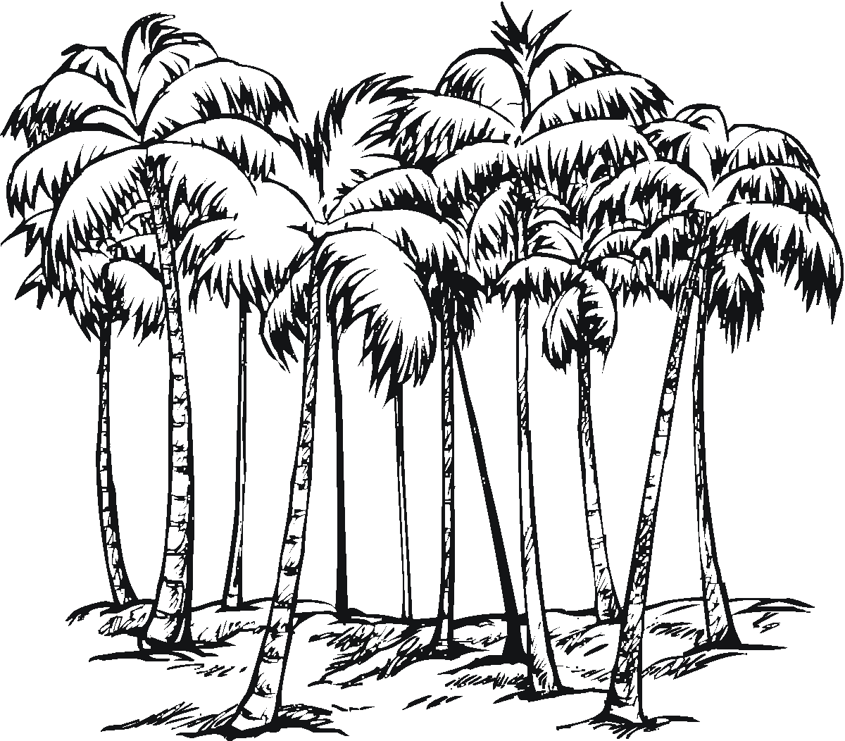 Disegno da colorare: Palma (Natura) #161177 - Pagine da Colorare Stampabili Gratuite