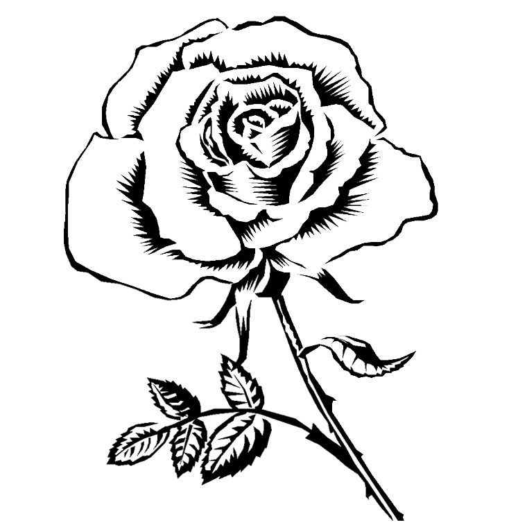 Disegno da colorare: Rose (Natura) #161863 - Pagine da Colorare Stampabili Gratuite