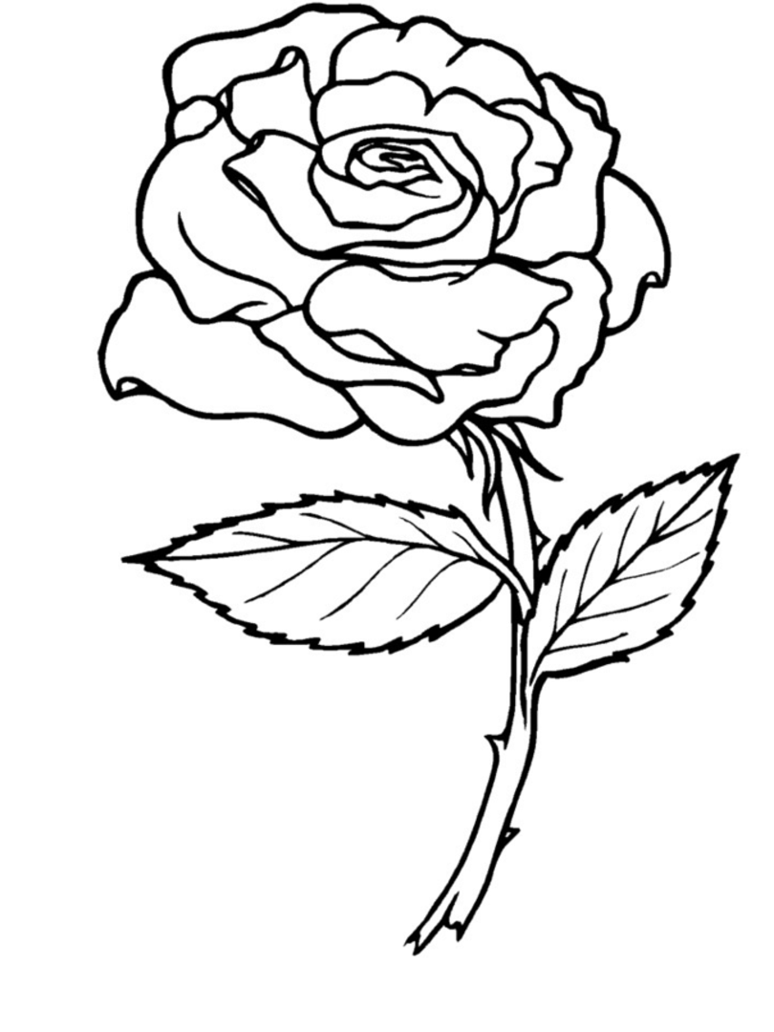 Disegno da colorare: Rose (Natura) #161864 - Pagine da Colorare Stampabili Gratuite