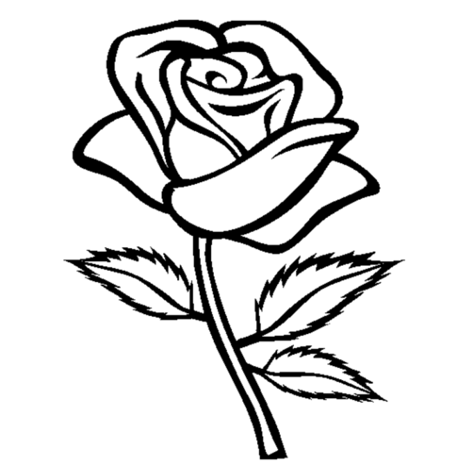 Disegno da colorare: Rose (Natura) #161866 - Pagine da Colorare Stampabili Gratuite
