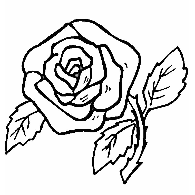Disegno da colorare: Rose (Natura) #161870 - Pagine da Colorare Stampabili Gratuite