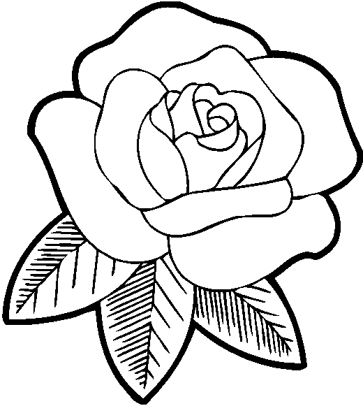 Disegno da colorare: Rose (Natura) #161871 - Pagine da Colorare Stampabili Gratuite