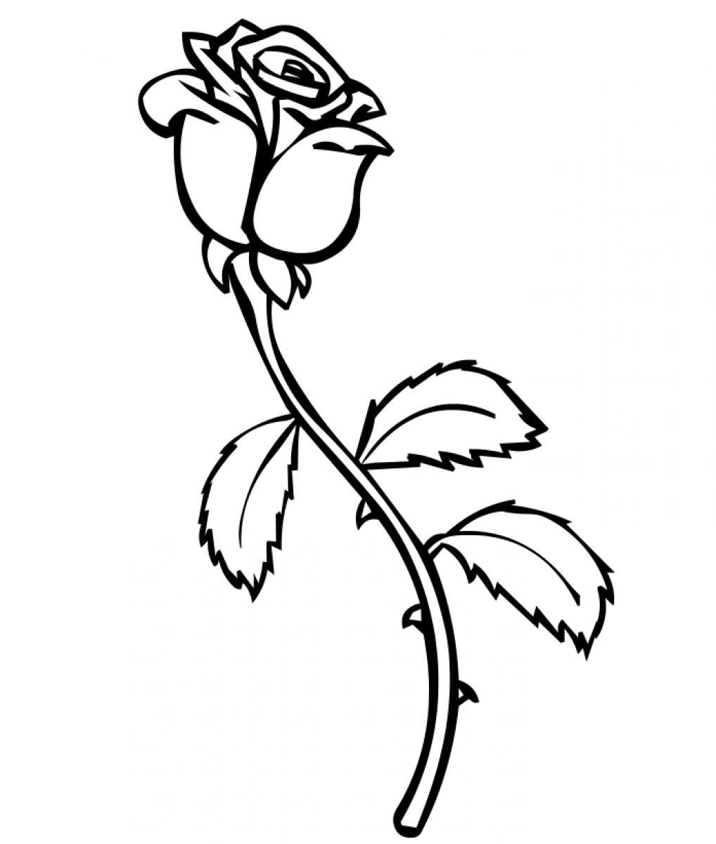 Disegno da colorare: Rose (Natura) #161873 - Pagine da Colorare Stampabili Gratuite