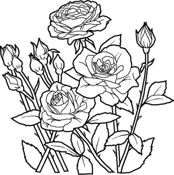 Disegno da colorare: Rose (Natura) #161888 - Pagine da Colorare Stampabili Gratuite