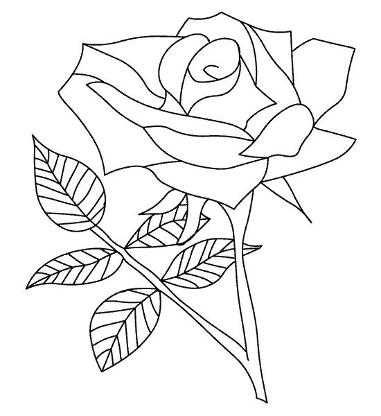 Disegno da colorare: Rose (Natura) #161894 - Pagine da Colorare Stampabili Gratuite