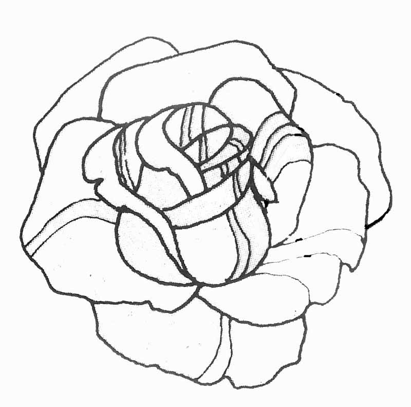 Disegno da colorare: Rose (Natura) #161898 - Pagine da Colorare Stampabili Gratuite