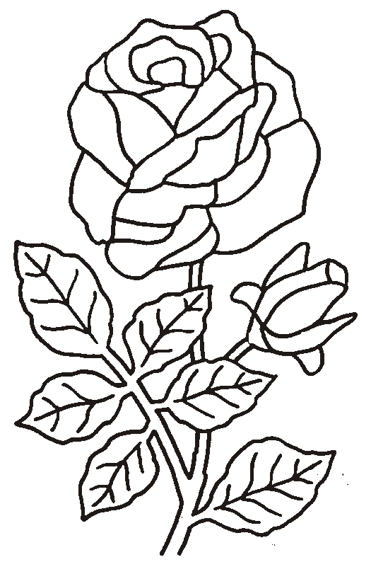 Disegno da colorare: Rose (Natura) #161899 - Pagine da Colorare Stampabili Gratuite