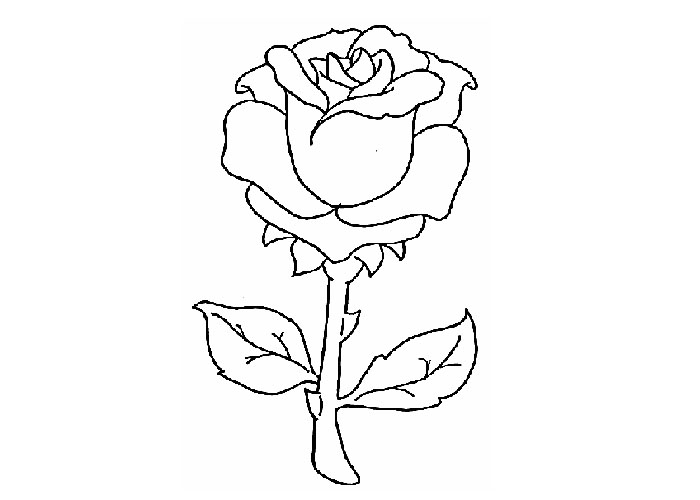 Disegno da colorare: Rose (Natura) #161907 - Pagine da Colorare Stampabili Gratuite