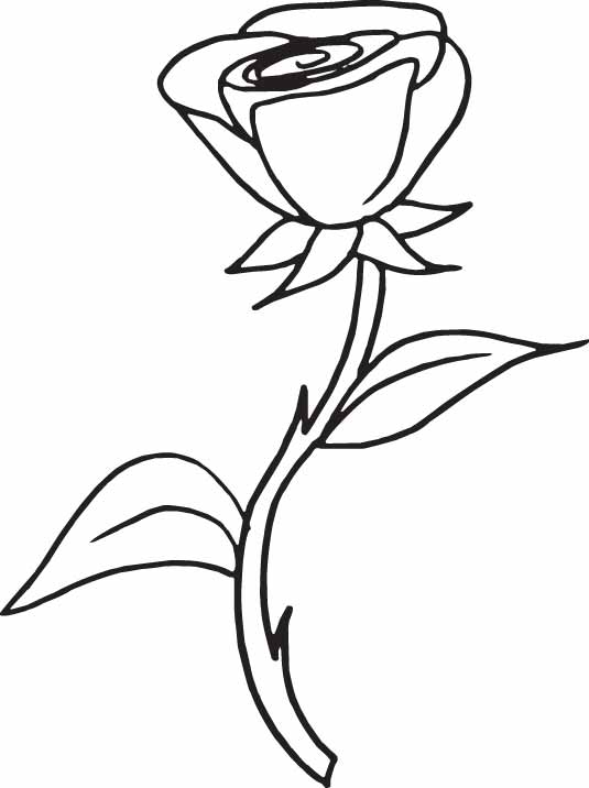 Disegno da colorare: Rose (Natura) #161916 - Pagine da Colorare Stampabili Gratuite