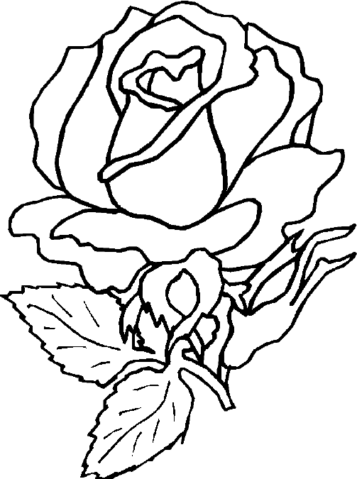 Disegno da colorare: Rose (Natura) #161922 - Pagine da Colorare Stampabili Gratuite