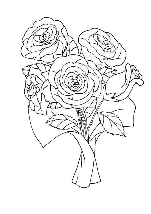 Disegno da colorare: Rose (Natura) #161929 - Pagine da Colorare Stampabili Gratuite