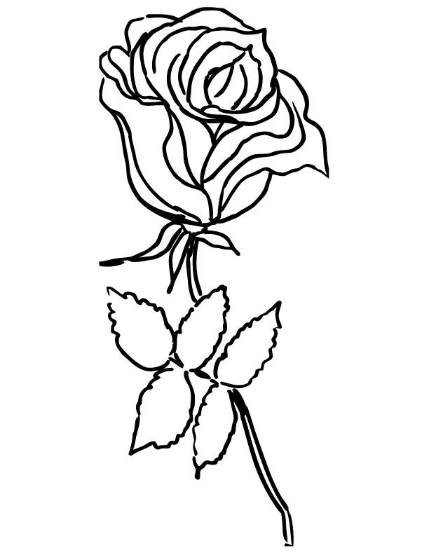 Disegno da colorare: Rose (Natura) #161935 - Pagine da Colorare Stampabili Gratuite