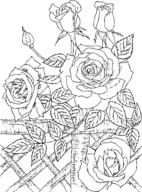 Disegno da colorare: Rose (Natura) #161944 - Pagine da Colorare Stampabili Gratuite