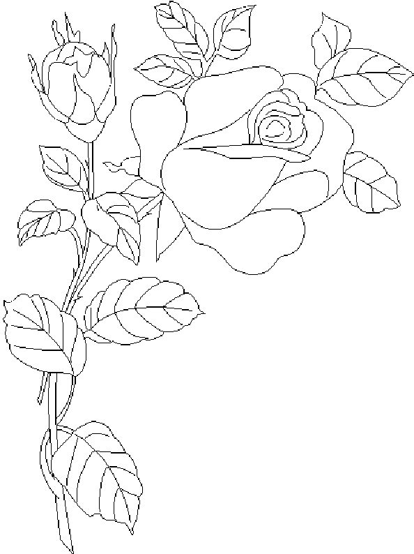 Disegno da colorare: Rose (Natura) #161949 - Pagine da Colorare Stampabili Gratuite