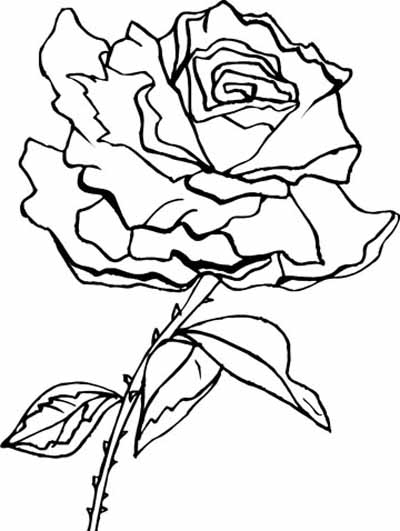 Disegno da colorare: Rose (Natura) #161966 - Pagine da Colorare Stampabili Gratuite