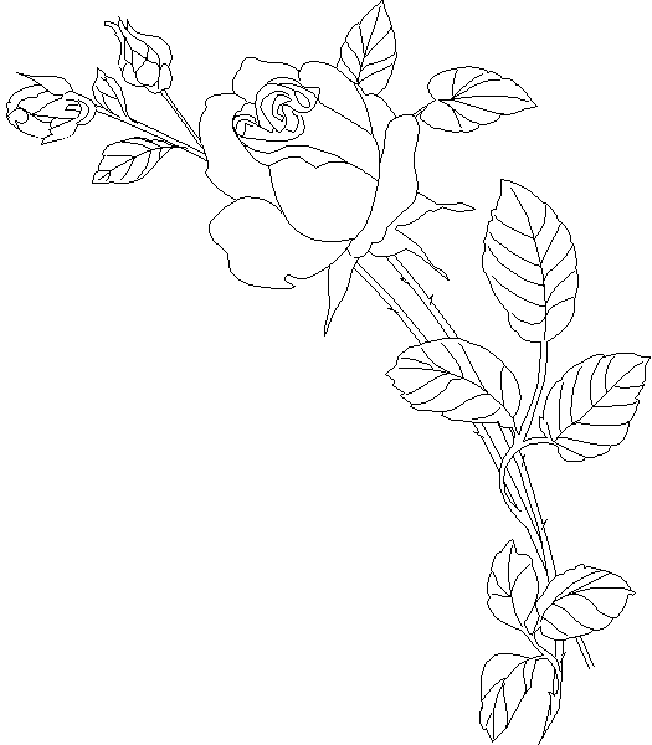 Disegno da colorare: Rose (Natura) #161974 - Pagine da Colorare Stampabili Gratuite